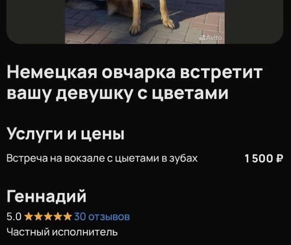 ����� ����� ��� �� ��������: ���������� �������. � ���� ����� ������, ������� ������ ���, ����� � ... - 3