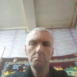 , 53, 