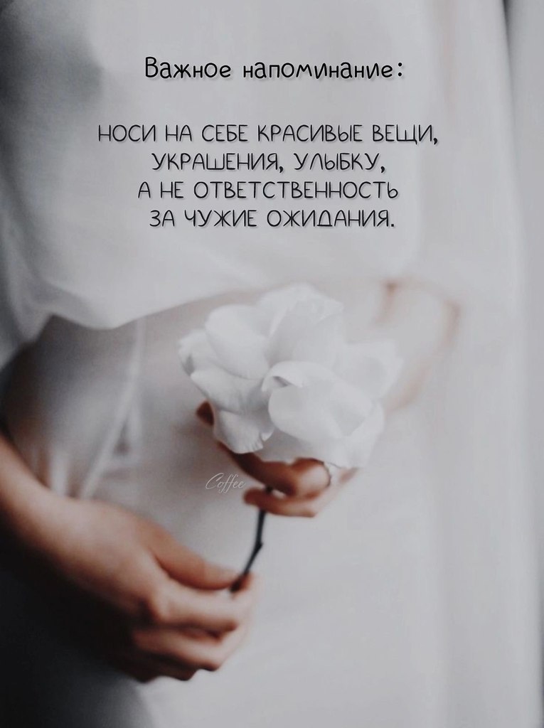   - 24  2025  15:37
