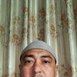 , 42, 