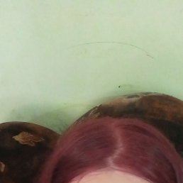 , 37, 