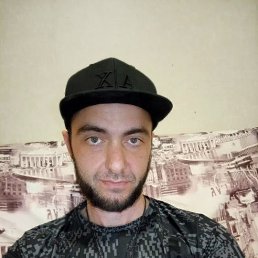 �����, 41 ���, ���������