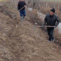 ����������� ������������, �����, 39 ���