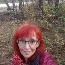  ,  , 53  -  14  2025    