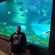 �����, 37 ���, �������