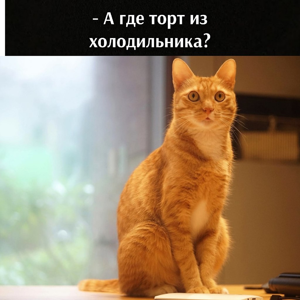       - 1  2025  12:58