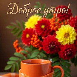  , --, 43  -  31  2025