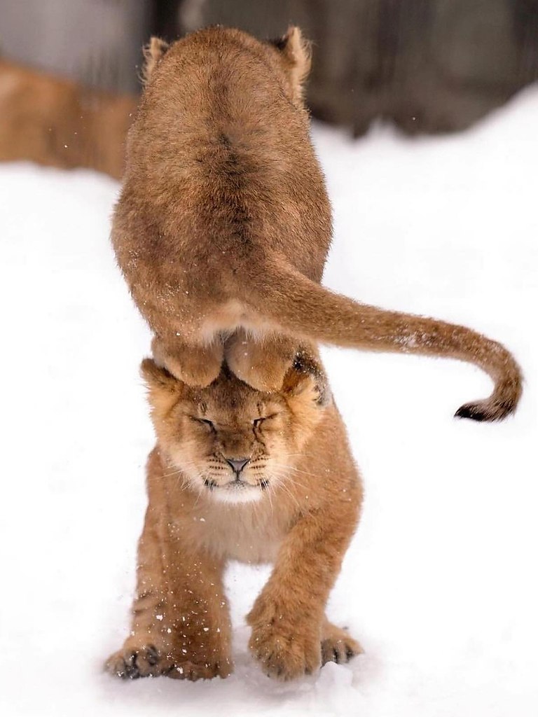   - 5  2025  15:25 - 2