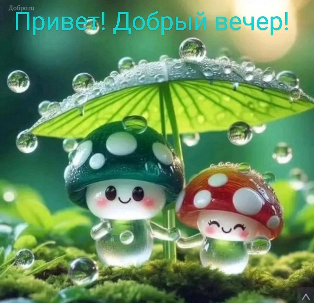   ,    . - 30  2025  17:53