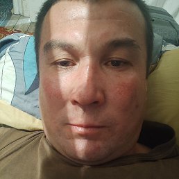 �����, ������, 41 ���