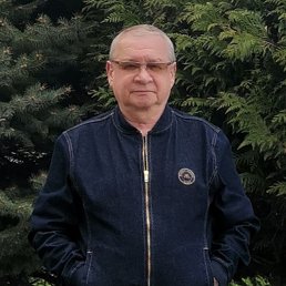 , 66, 