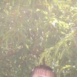 , 49 , 