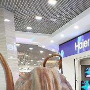 ��������, 57 ���, ������