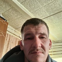 �����, 37 ���, ����