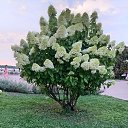 ���� �����, ������ - ��������� 20 ������� 2025 � ������ ���� ����������