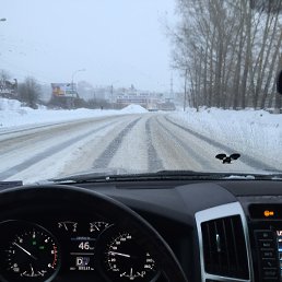 ���� �����, ����, 44 ���� - ��������� 5 ������ 2025