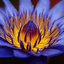 ���� ����, �����-���������, 51 ��� - ��������� 11 ���� 2025 � ������ ���� ����������