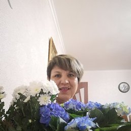 ����, �����, 58 ���