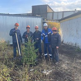 ����, ������, 55 ���