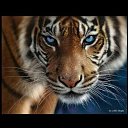 ���� �����, ���������, 46 ��� - ��������� 12 ������� 2023 � ������ ���� ����������
