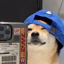 Roman, ������������, 21 ���