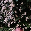 ���� ������, ������, 55 ��� - ��������� 25 ���� 2026 � ������ ���� ����������