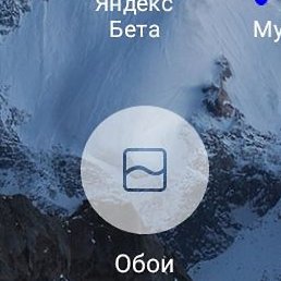 ���, ������, 49 ���