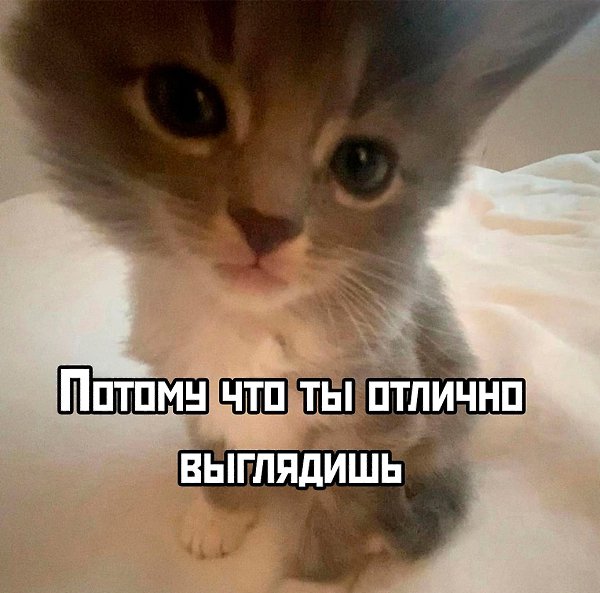 T oo ae, oy o cy - 2