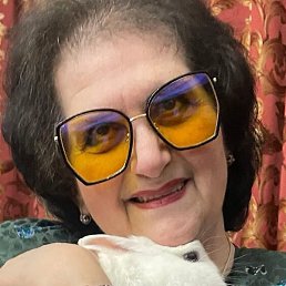 ������, �����, 67 ���