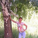 ���� �������, �����������, 38 ��� - ��������� 22 ������� 2026