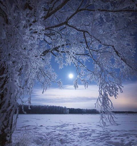 Sall *f () - 29  2023  03:06