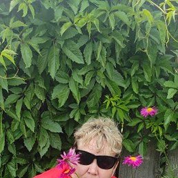 ������, �����, 52 ����