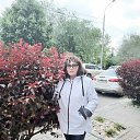 ���� �����, ���������, 49 ��� - ��������� 17 ������ 2024 � ������ ���� ����������