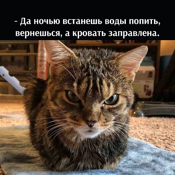       - 5  2025  17:40 - 4