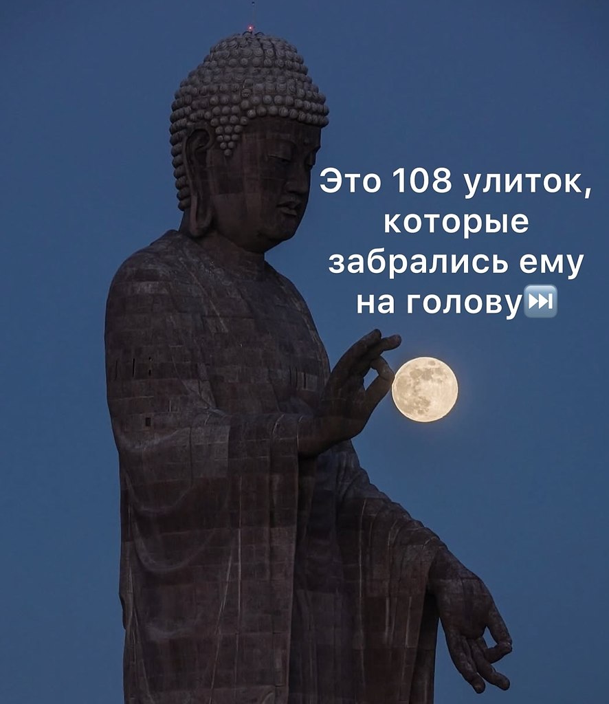       ?       .   -  ... - 2