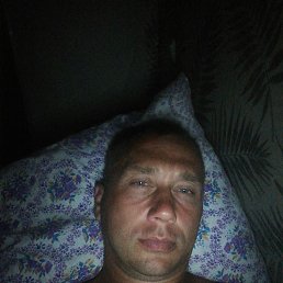 �����, ������, 37 ���