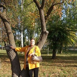 �������, ������, 72 ����