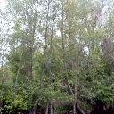 ���� ����� �������, ������, 24 ���� - ��������� 20 ��� 2024