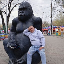 ���������, 49 ���, ����