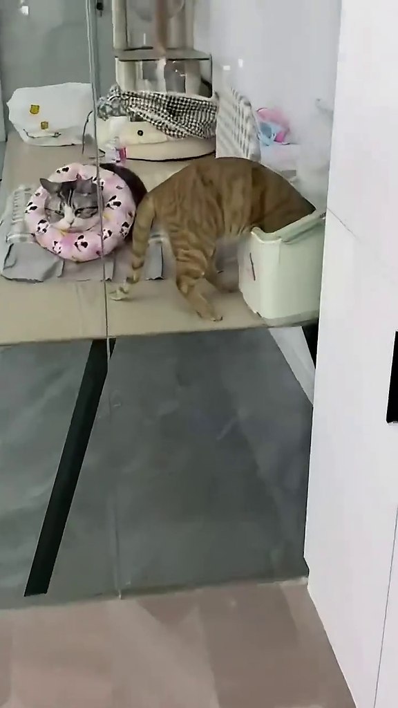 �� �� ��, ����� �������!) - 2