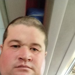 ������, 40 ���, ����