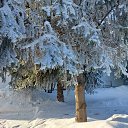 ���� ������ ., ������� - ��������� 25 ������ 2026 � ������ ���� ����������
