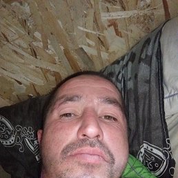 ������, 35 ���, ���������