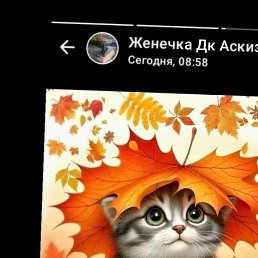 ���� �������, ������, 55 ��� - ��������� 10 ������ 2025