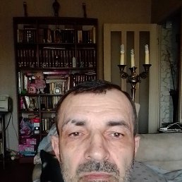 , 53, -