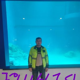 , 34 , -