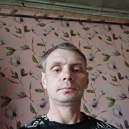 , 43, 