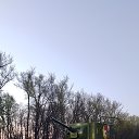 ���� �������, ����, 36 ��� - ��������� 13 ���� 2025 � ������ ���� ����������