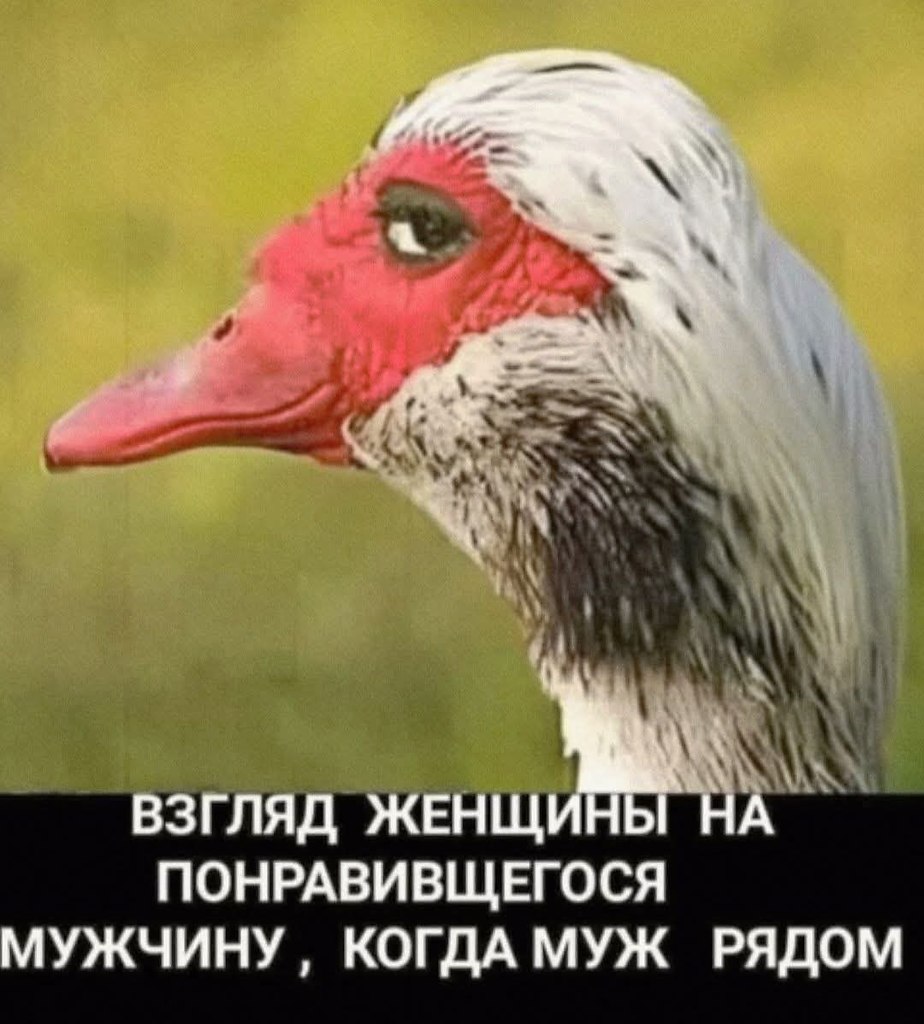 :)