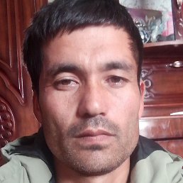 ���������, �����, 26 ���